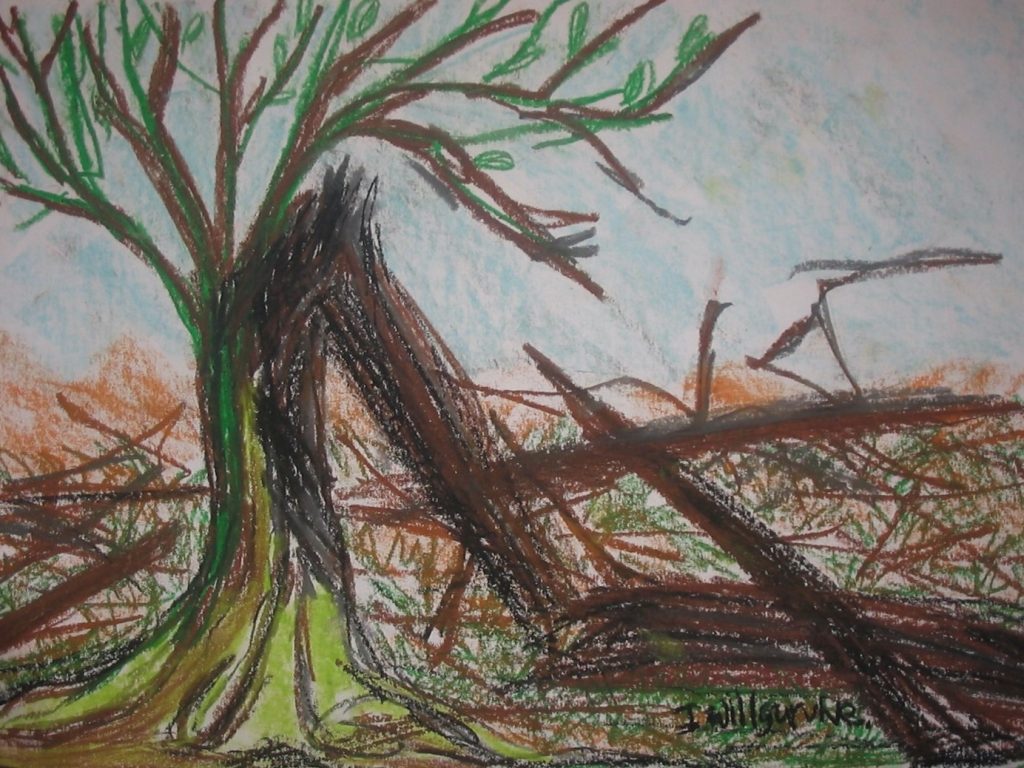 Drawing on Resilience – Reflections on How My Life has Prepared Me for ...