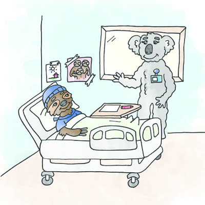 A Sloth Goes to the Hospital: A Children’s Book Helps Young Patients Learn about the Creative Arts Therapies