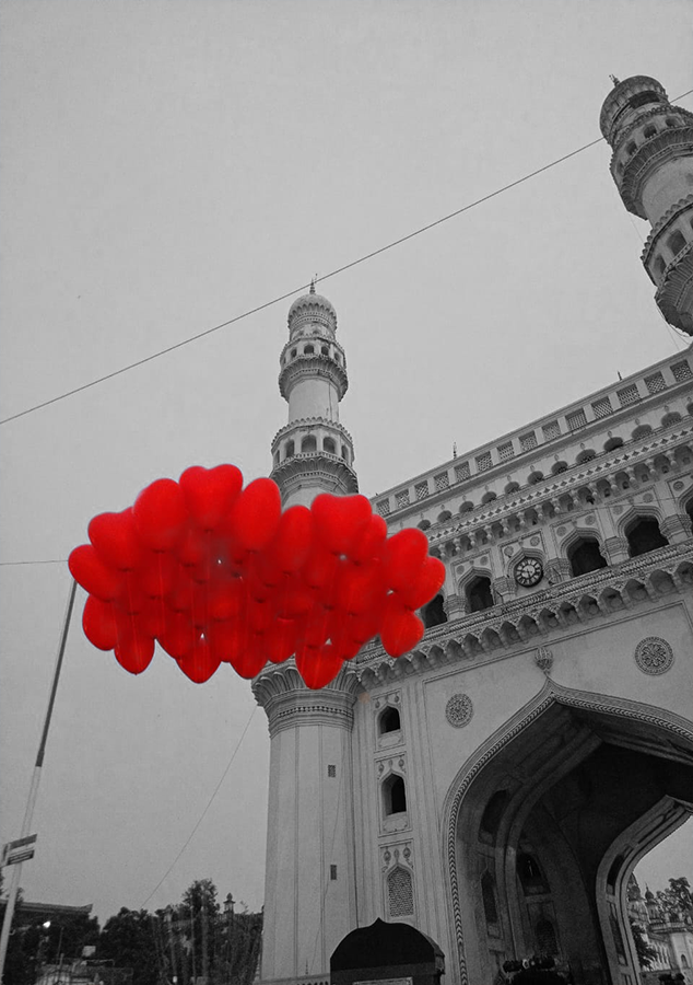 Charminar 2 - alison nicole