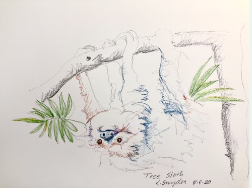 Kathryn_Snyder_Artwork_TreeSloth